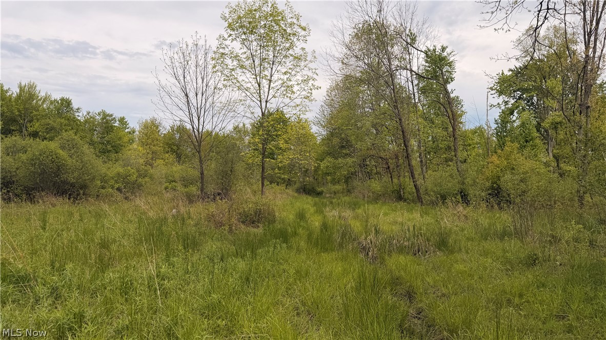Youngstown Kingsville Road Warren OH 44473