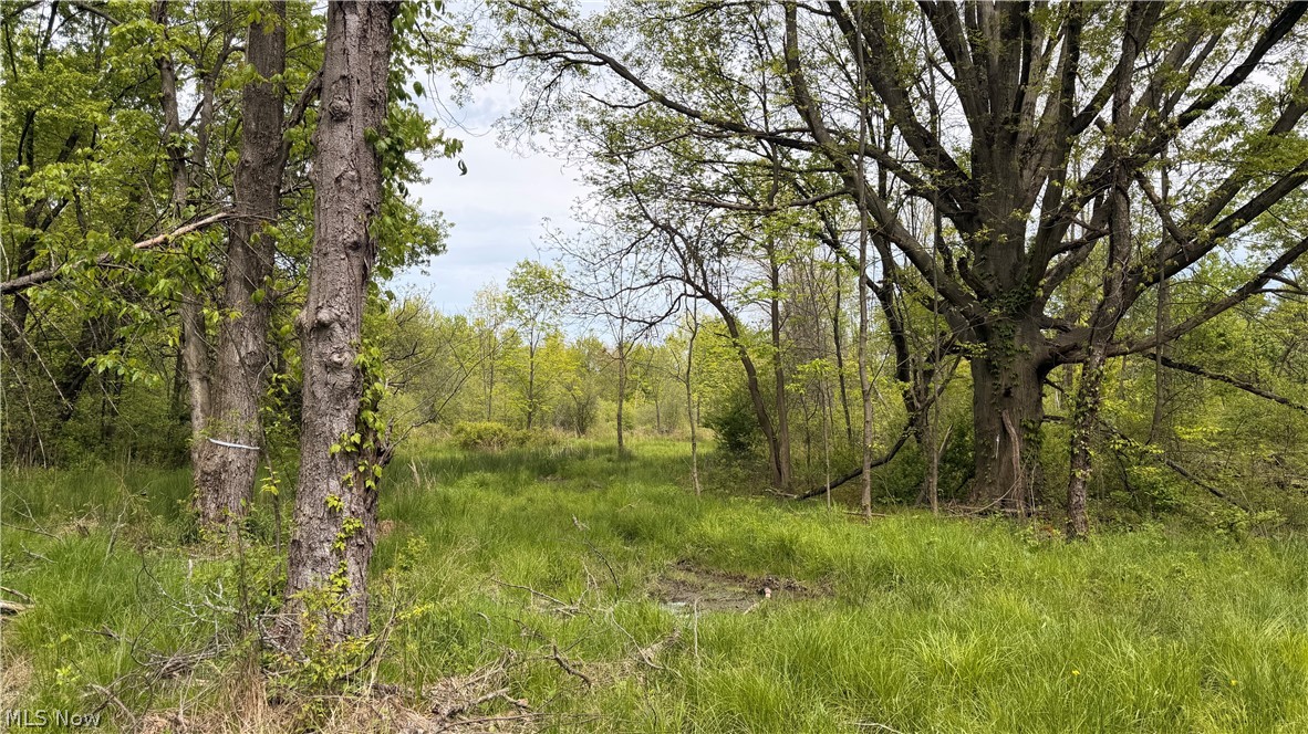 Youngstown Kingsville Road Warren OH 44473