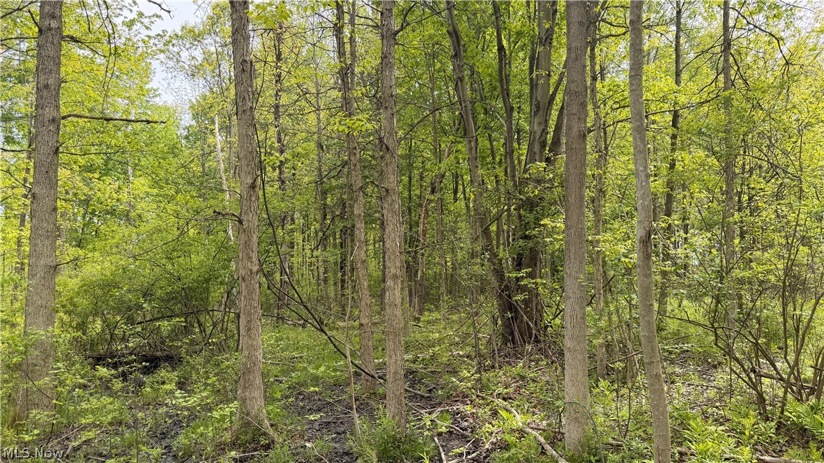 Youngstown Kingsville Road Warren OH 44473