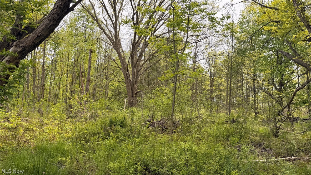 Youngstown Kingsville Road Warren OH 44473