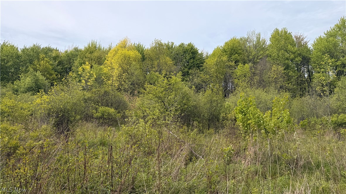Youngstown Kingsville Road Warren OH 44473
