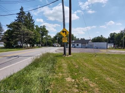 Ville N Main Street Grafton OH 44044