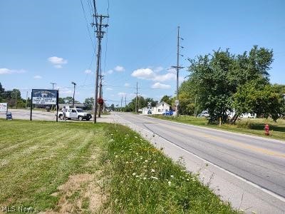 Ville N Main Street Grafton OH 44044