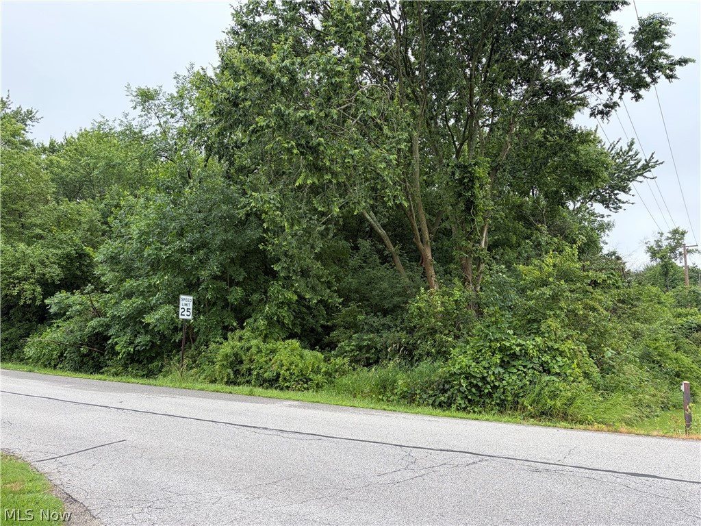 V/l Waverly Avenue Wadsworth OH 44281