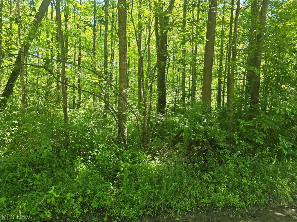 Morningside Drive Saybrook OH 44004