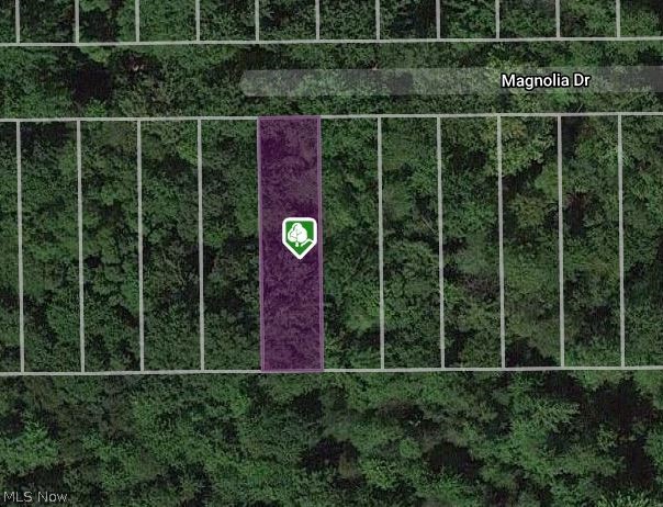 V/l Magnolia #18 Drive Madison OH 44057