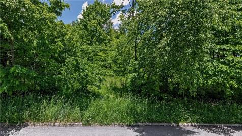 0 Charles Street Mansfield OH 44903