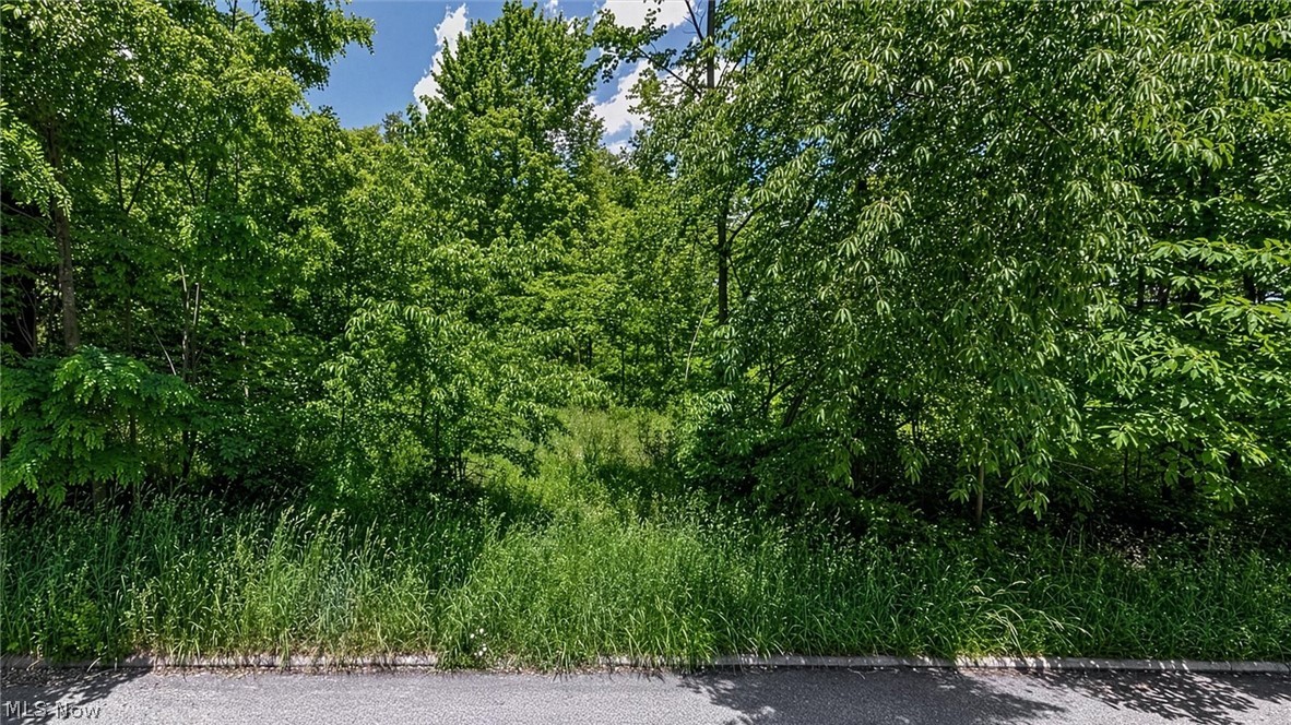 0 Charles Street Mansfield OH 44903