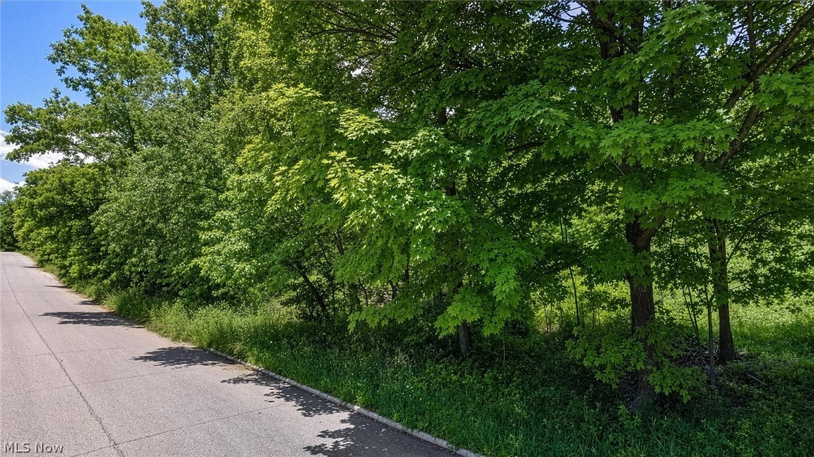 0 Charles Street Mansfield OH 44903