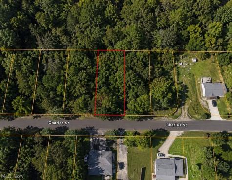0 Charles Street Mansfield OH 44903