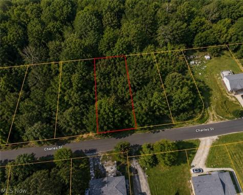 0 Charles Street Mansfield OH 44903