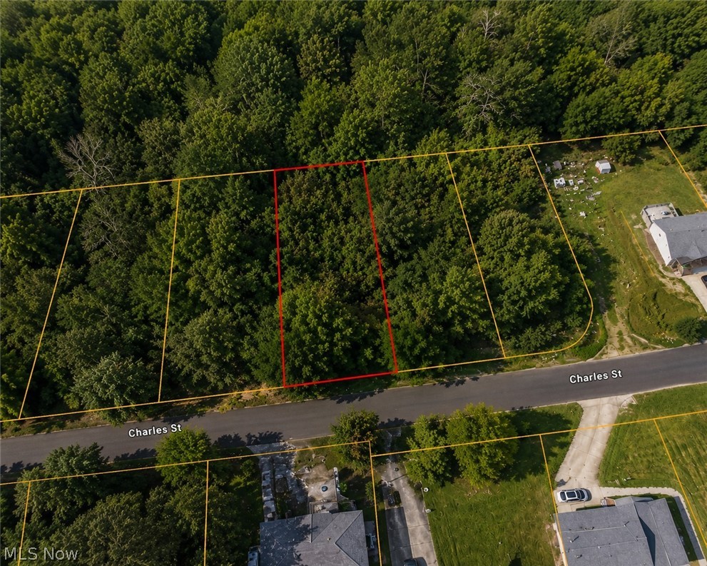 0 Charles Street Mansfield OH 44903