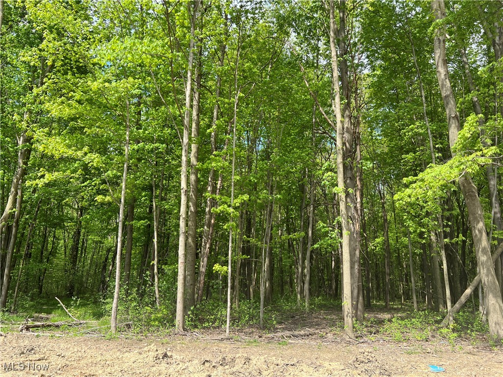 2890 Rocky Ridge Drive Westlake OH 44145