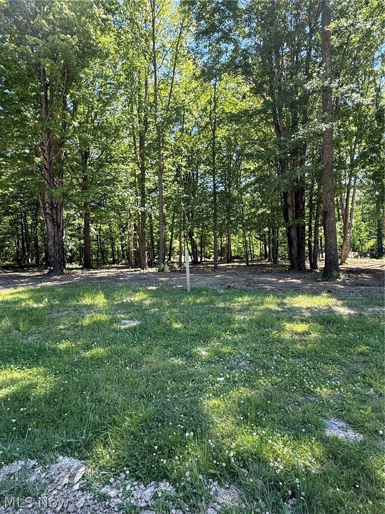 46 Breezewood Lane Vermilion OH 44089