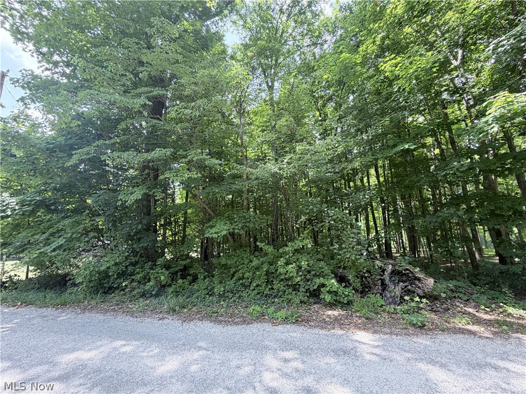 0 Lakeview Kinsman OH 44428