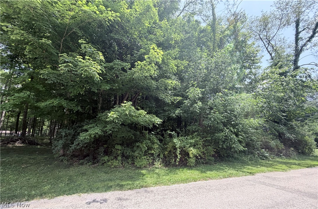 0 Lakeview Kinsman OH 44428