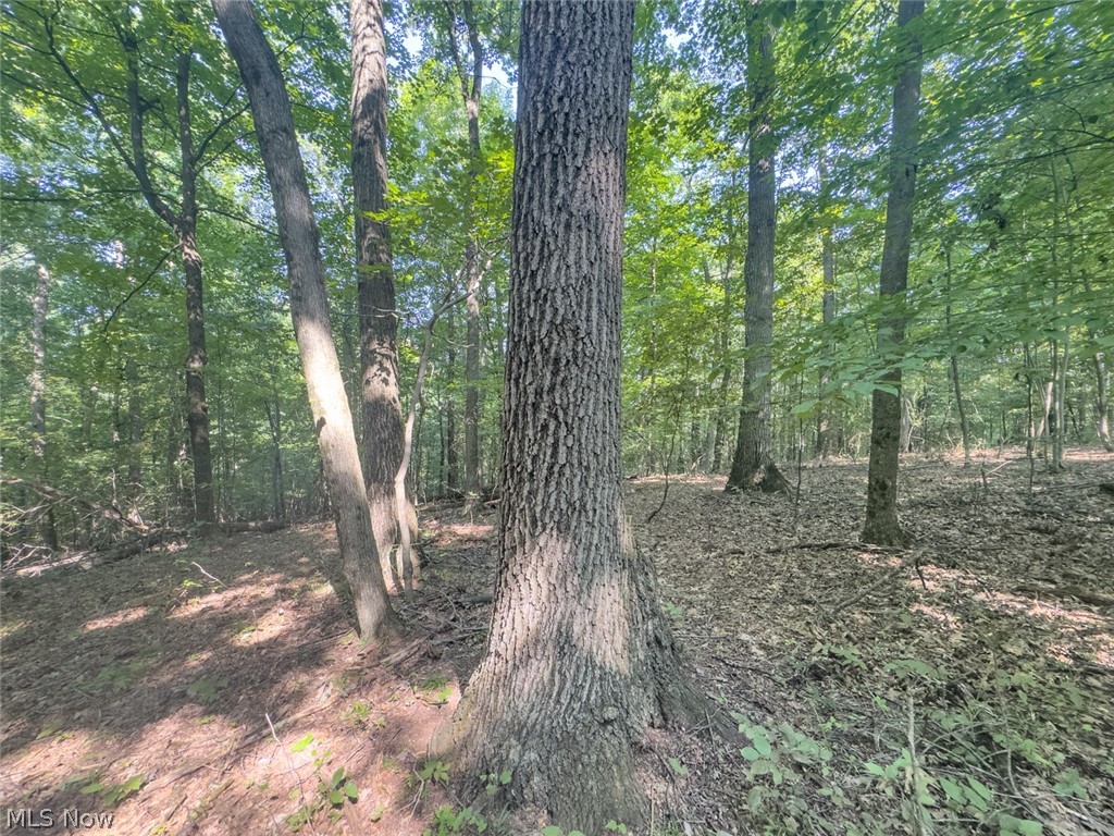 14050 Wolford Road Newark OH 43055