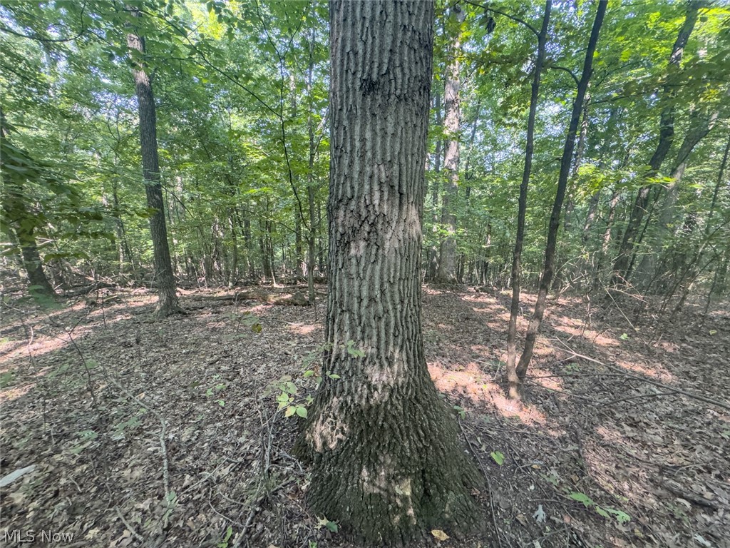 14050 Wolford Road Newark OH 43055