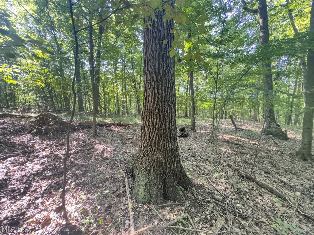 14050 Wolford Road Newark OH 43055