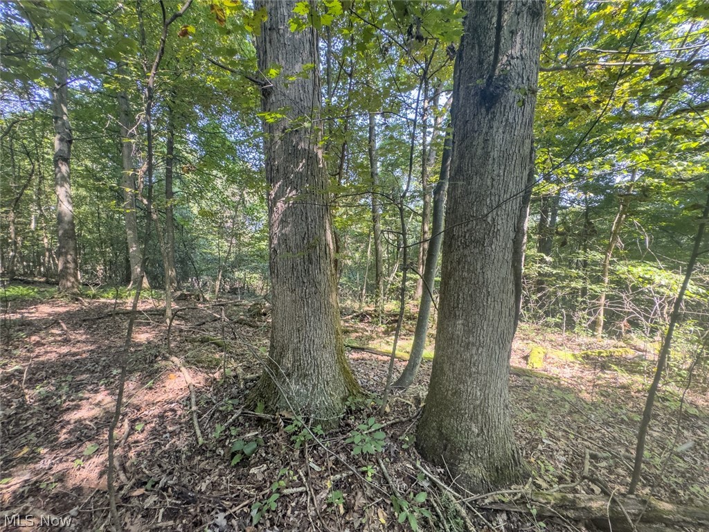 14050 Wolford Road Newark OH 43055