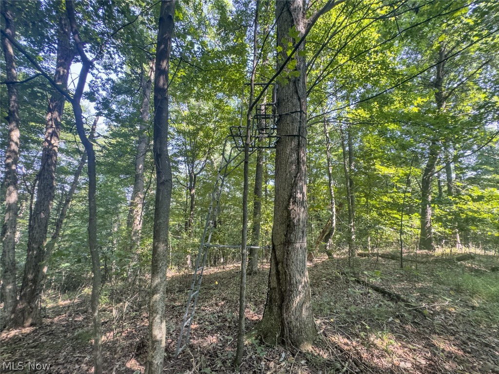 14050 Wolford Road Newark OH 43055