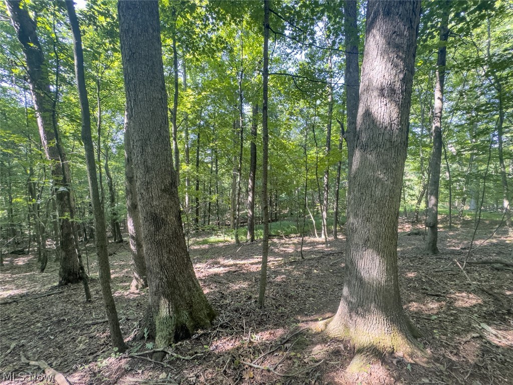 14050 Wolford Road Newark OH 43055