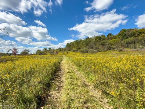 7145 Bluebird Road East Canton OH 44730