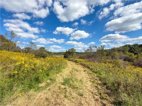 7145 Bluebird Road East Canton OH 44730