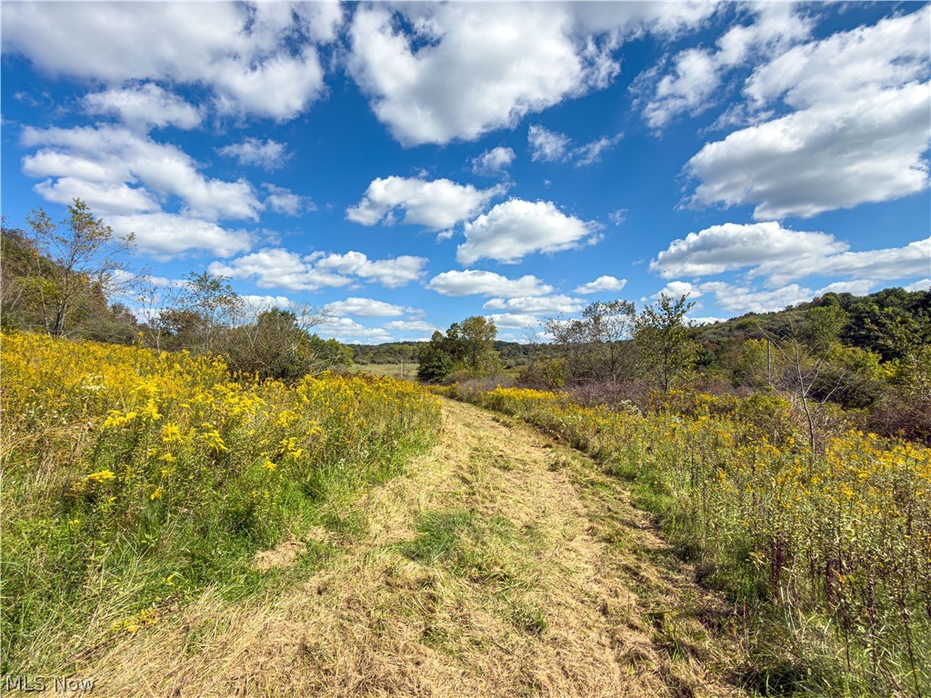 7145 Bluebird Road East Canton OH 44730