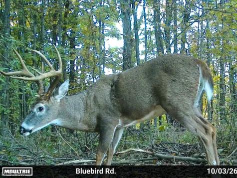 7145 Bluebird Road East Canton OH 44730