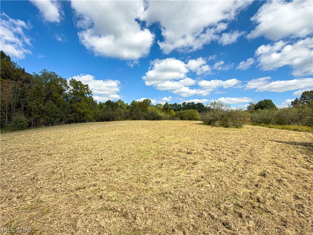 7145 Bluebird Road East Canton OH 44730