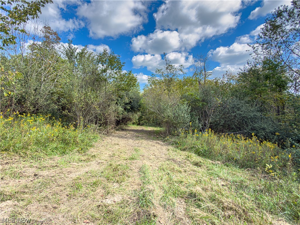 7145 Bluebird Road East Canton OH 44730