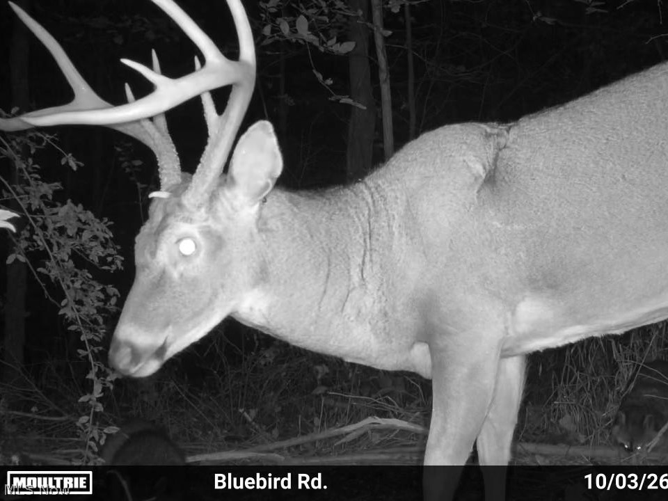 7145 Bluebird Road East Canton OH 44730