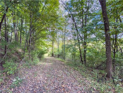 7145 Bluebird Road East Canton OH 44730
