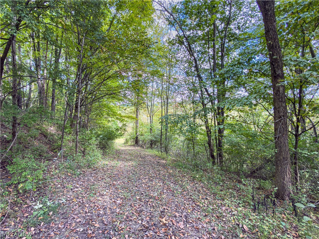 7145 Bluebird Road East Canton OH 44730