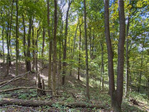 7145 Bluebird Road East Canton OH 44730