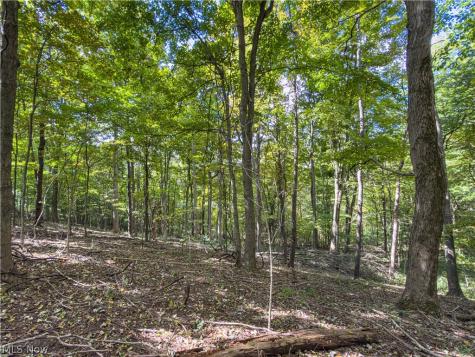 7145 Bluebird Road East Canton OH 44730