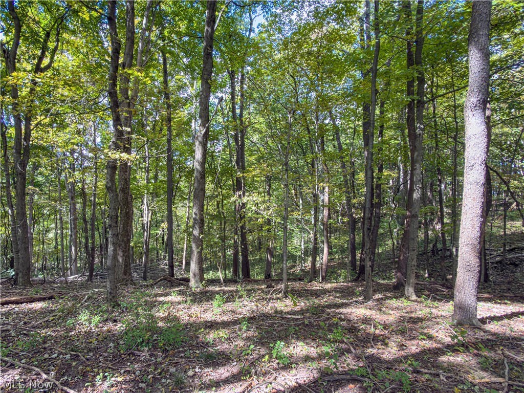 7145 Bluebird Road East Canton OH 44730