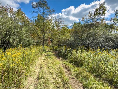 7145 Bluebird Road East Canton OH 44730