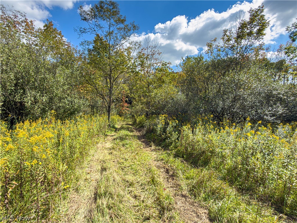 7145 Bluebird Road East Canton OH 44730