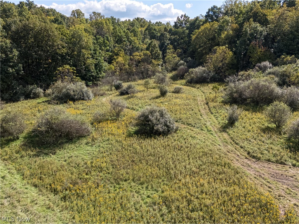 7145 Bluebird Road East Canton OH 44730