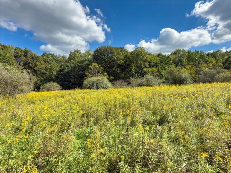 7145 Bluebird Road East Canton OH 44730