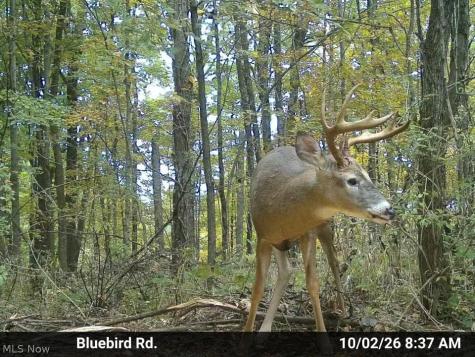 7145 Bluebird Road East Canton OH 44730