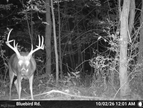 7145 Bluebird Road East Canton OH 44730