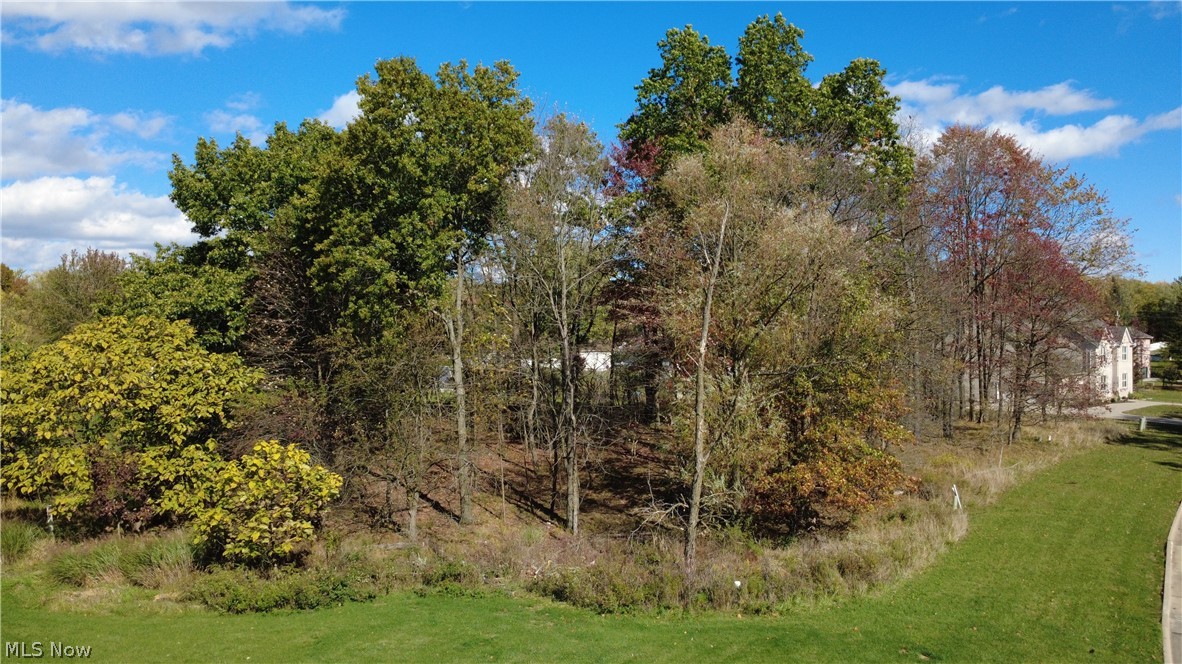 Village Drive Broadview Heights OH 44147
