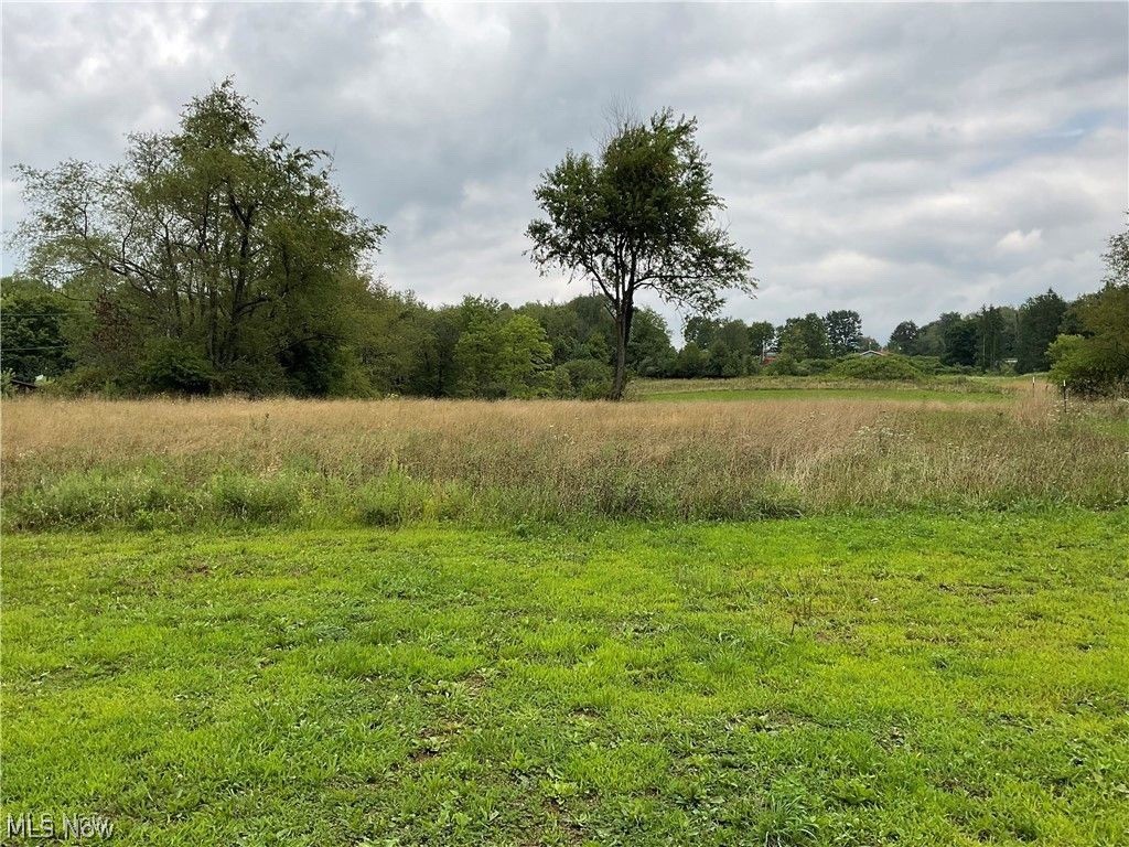 49386 Fredericktown Clarkson Road Negley OH 44441