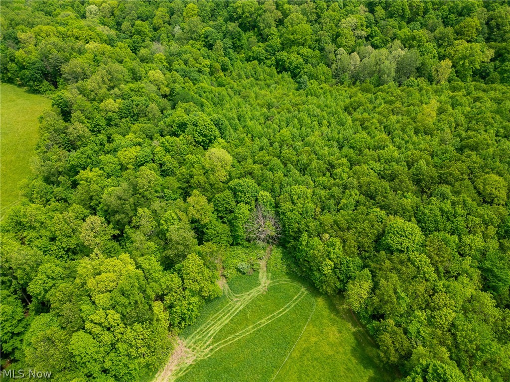 County Road 407 Millersburg OH 44654