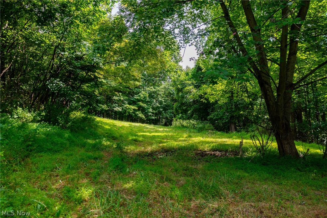 Hill Road Dresden OH 43821