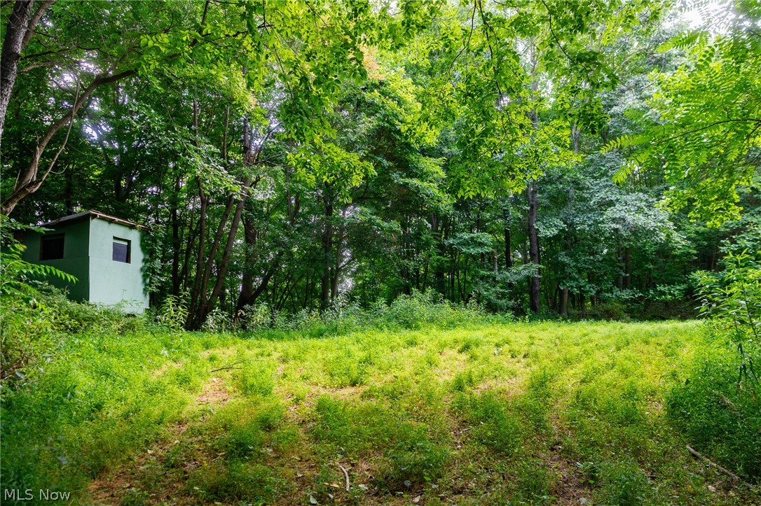 Hill Road Dresden OH 43821