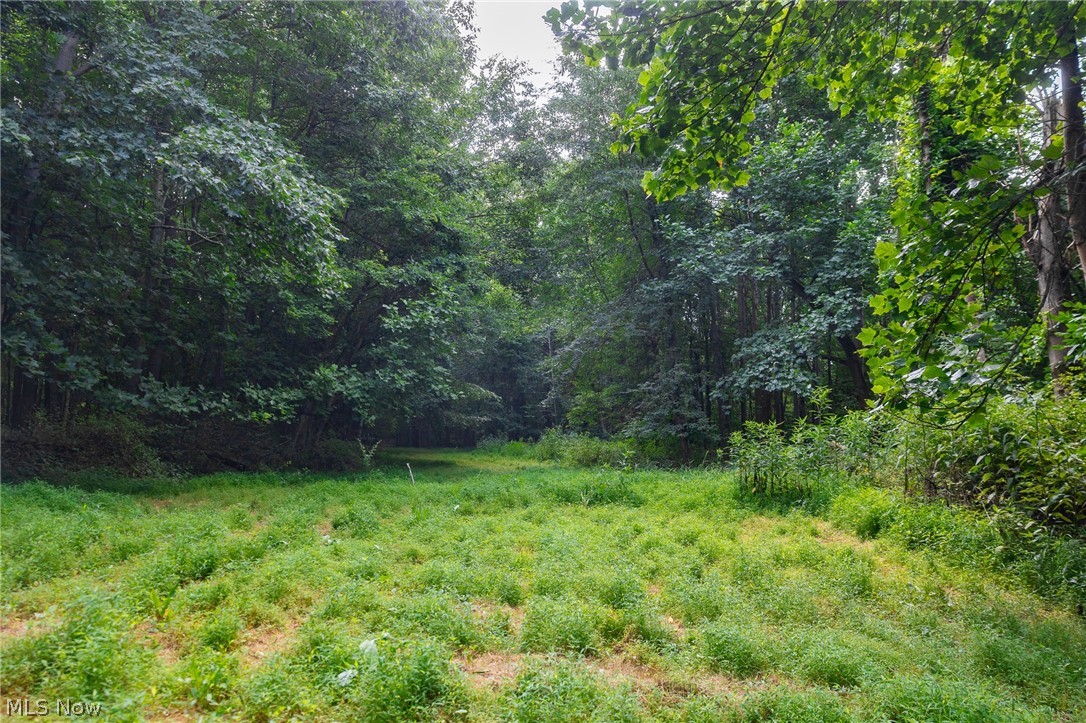 Hill Road Dresden OH 43821